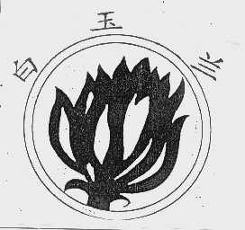 白玉兰