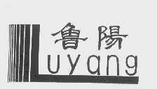 鲁阳