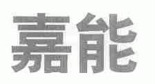 嘉能