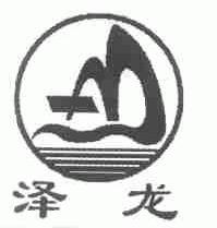 泽龙
