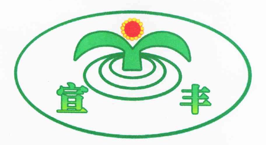宣丰