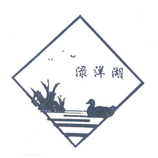渌洋湖