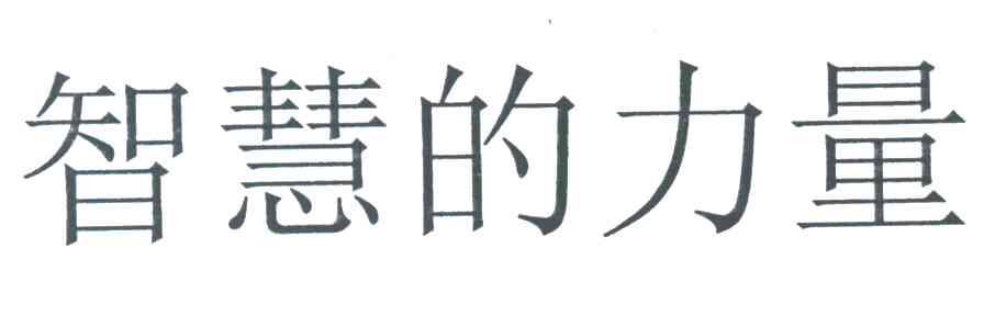 智慧的力量