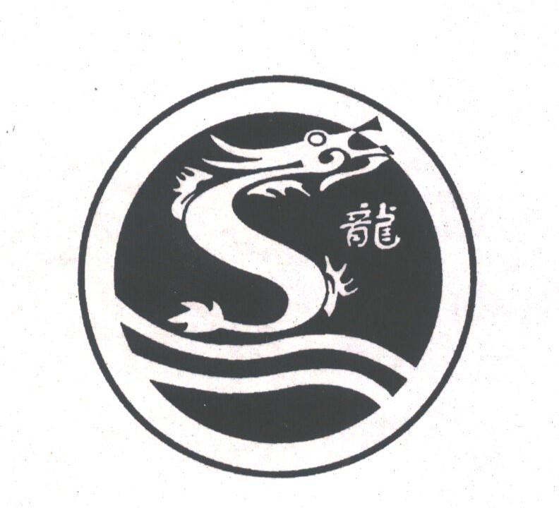 龙