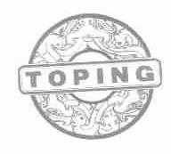 TOPING