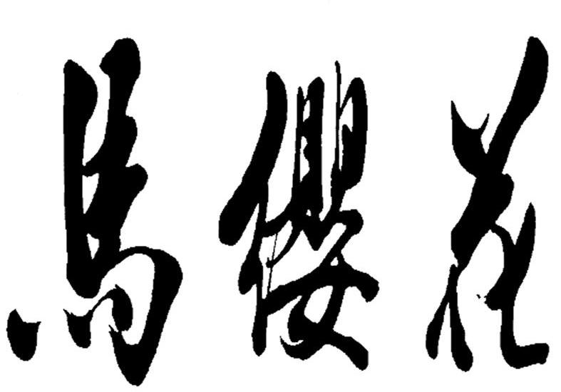 马缨花