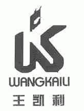 王凯利