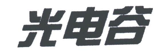 光电谷