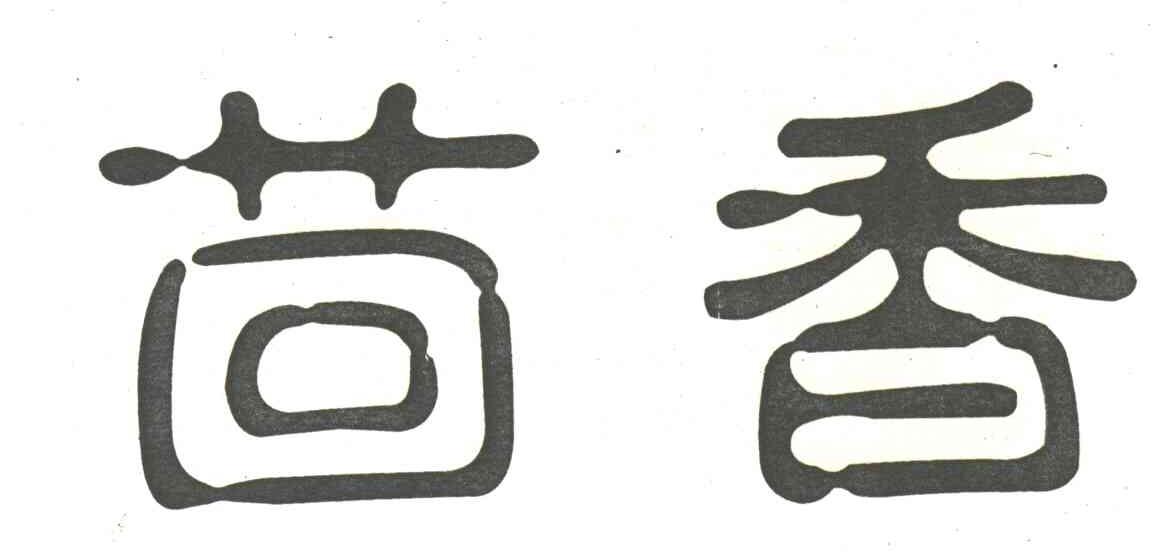 茴香