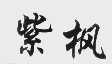 紫枫
