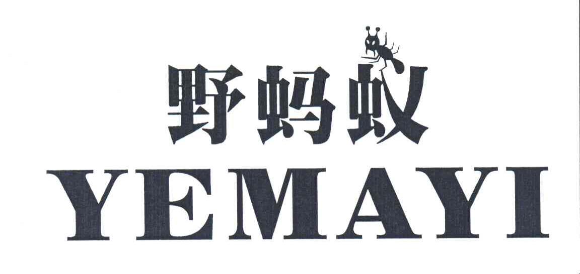 野蚂蚁
