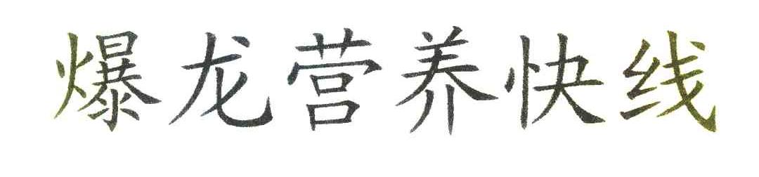 爆龙营养快线