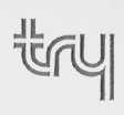 TRY LOGO