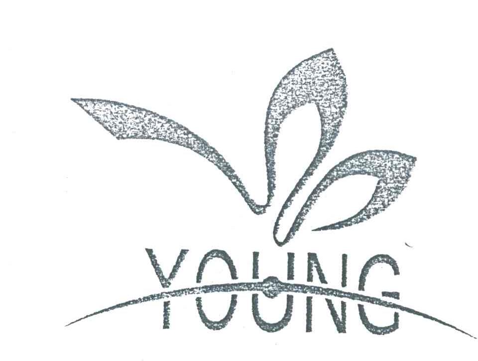 YOUNG及图