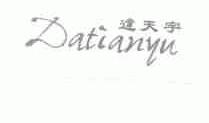 达天宇