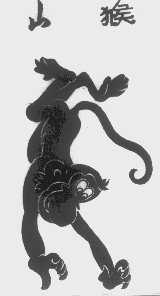 山猴
