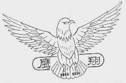 鹰翔