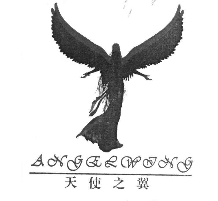 天使之翼 ANGELWING