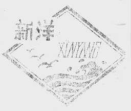 新洋