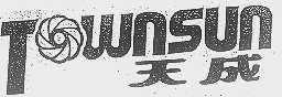 TOWNSUN   天成