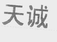 天诚
