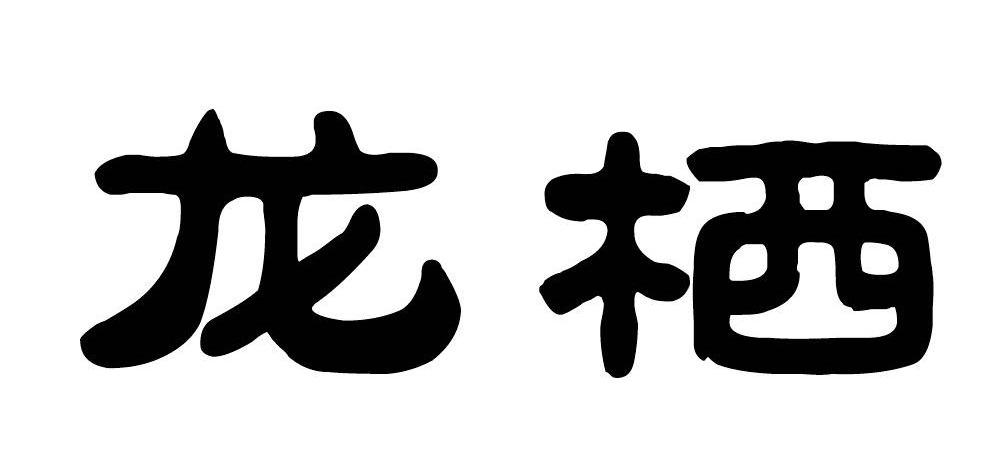 龙栖