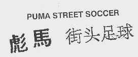 彪马街头足球   PUMA STREET SOCCER