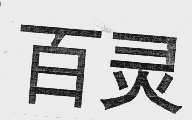 百灵