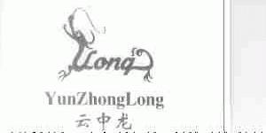 云中龙