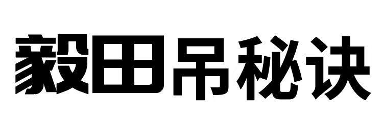 毅田吊秘诀