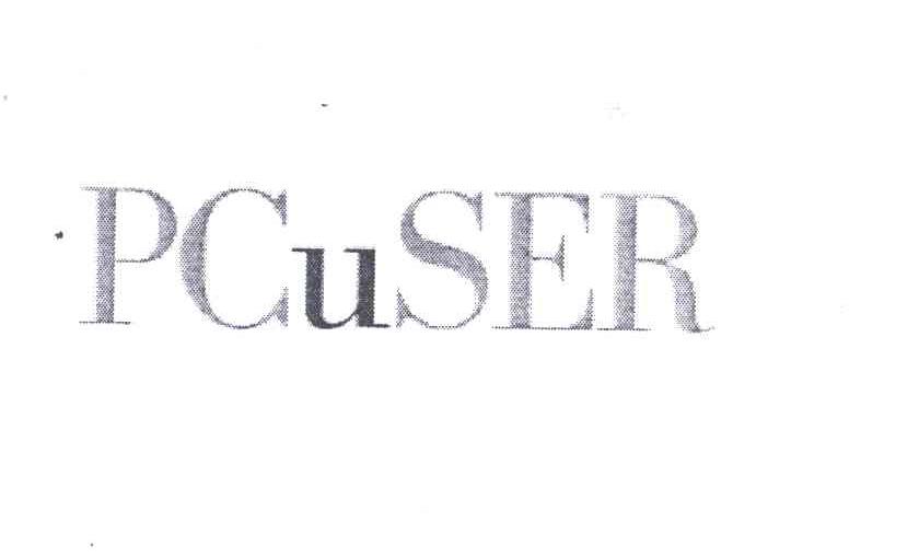 PCUSER