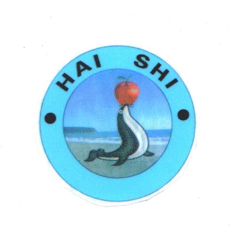 HAI SHI及图形