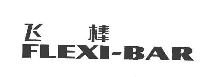 飞棒 FLEXI BAR