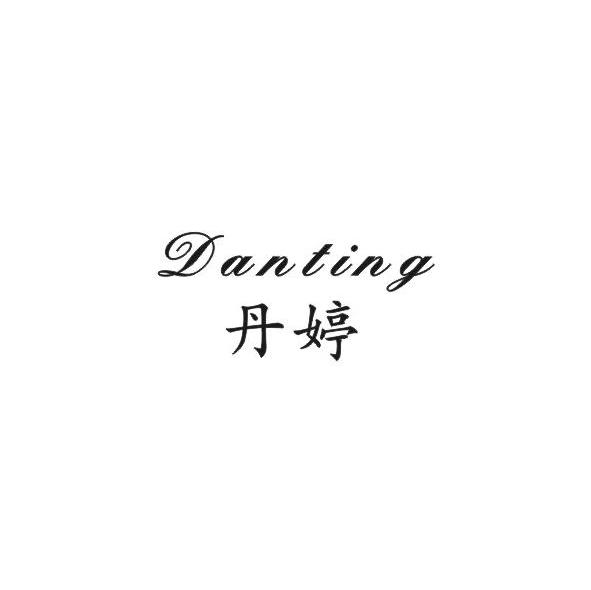 丹婷
