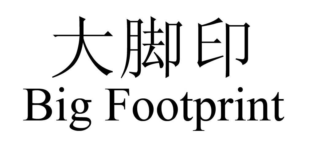 大脚印 BIG FOOTPRINT