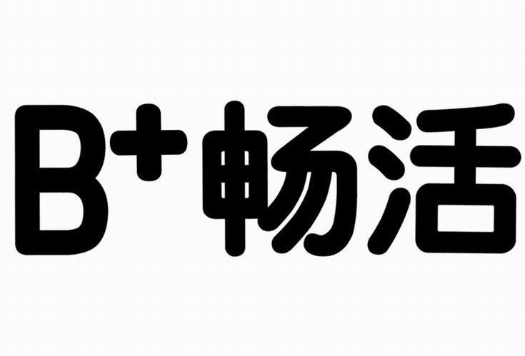 B+畅活