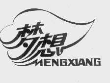 梦想