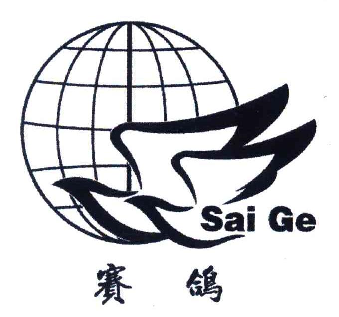 赛鸽