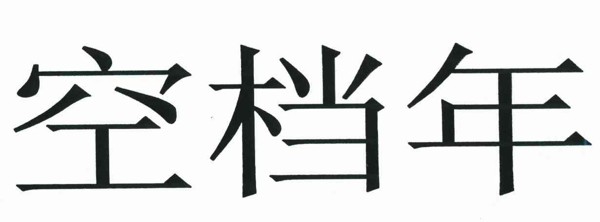 空档年