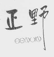 正野   GENUIN
