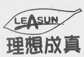 理想成真   LEASUN