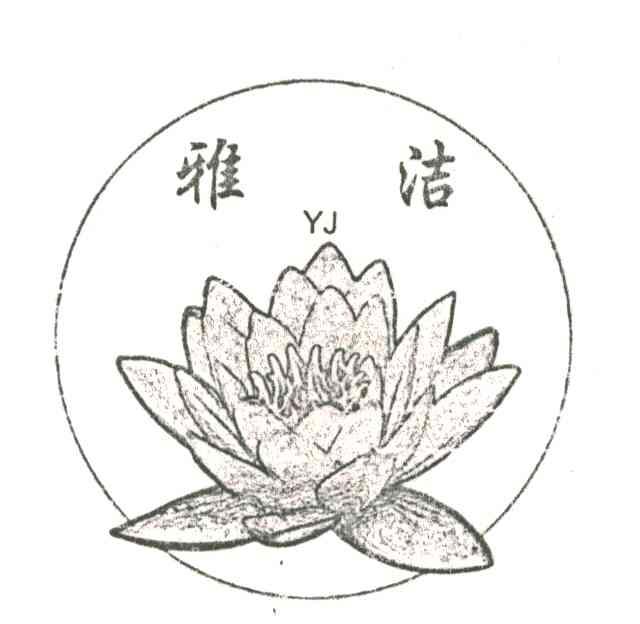 雅洁