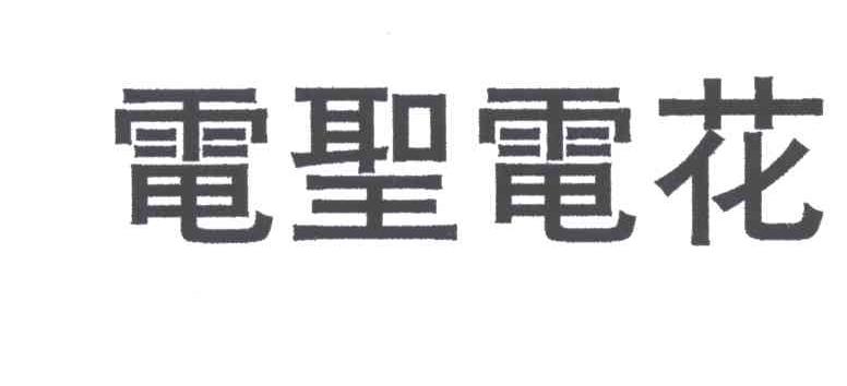 电圣电花