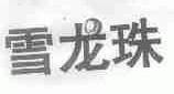 雪龙珠