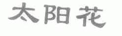 太阳花