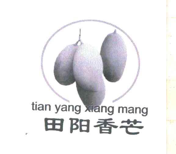 田阳