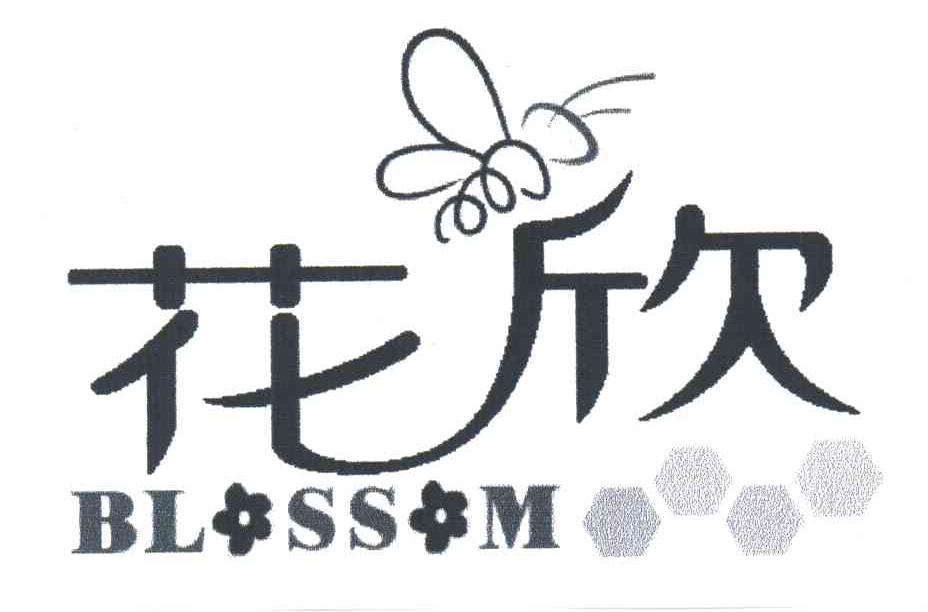 花欣;BL SS M