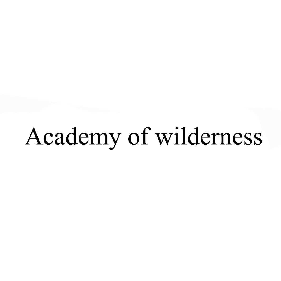 ACADEMY OF WILDERNESS