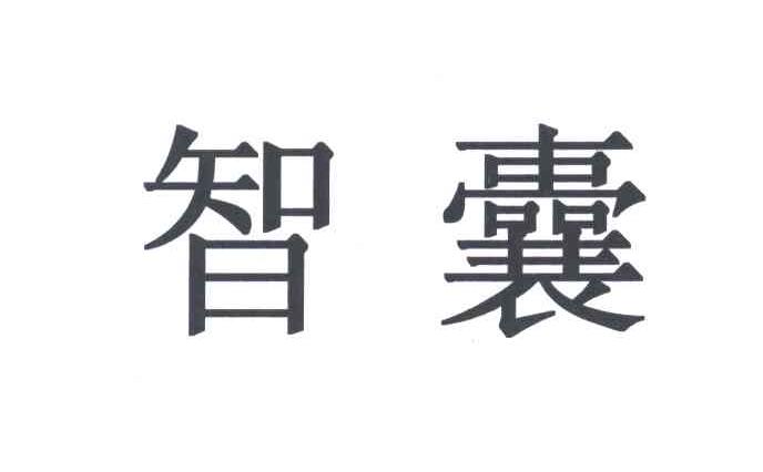 智囊