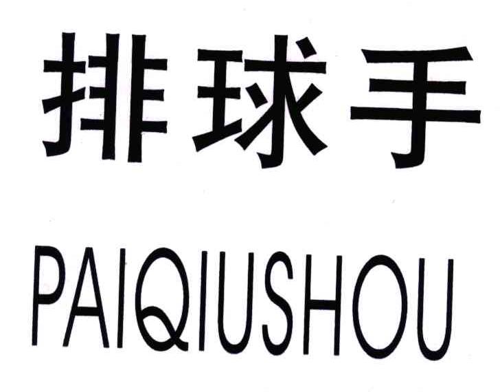 排球手